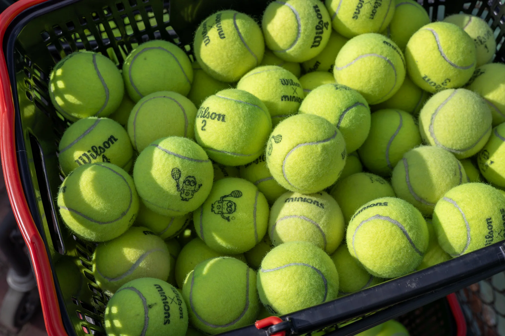 Ball collecting autonomous robot